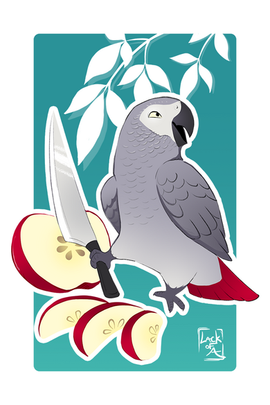 Birds with Blades: Congo Grey